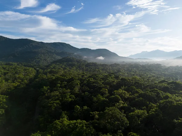 Guaraqueaba Paran Brezilya Daki Yeşil Yağmur Ormanı Dağlarının Güzel Hava — Stok fotoğraf