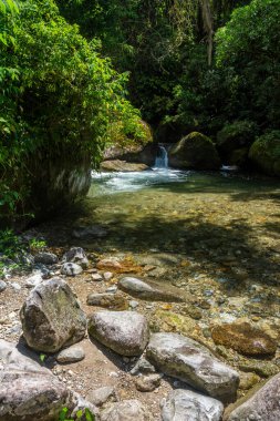 Vahşi yeşil Atlantik yağmur ormanlarının nehir havuzu, Serrinha do Alambari, Rio de Janeiro, Brezilya