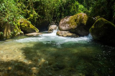 Vahşi yeşil Atlantik yağmur ormanlarının nehir havuzu, Serrinha do Alambari, Rio de Janeiro, Brezilya