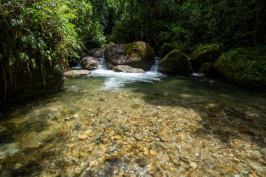 Vahşi yeşil Atlantik yağmur ormanlarının nehir havuzu, Serrinha do Alambari, Rio de Janeiro, Brezilya