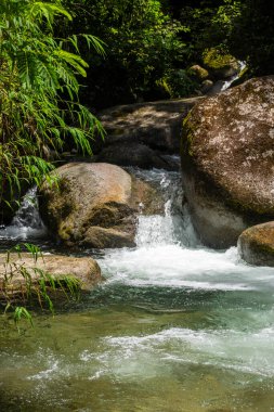 Vahşi yeşil Atlantik yağmur ormanlarının nehir havuzu, Serrinha do Alambari, Rio de Janeiro, Brezilya