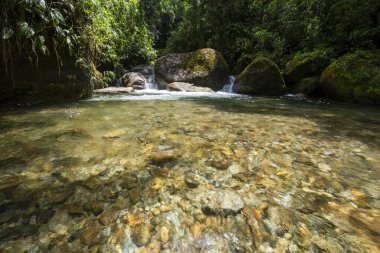 Vahşi yeşil Atlantik yağmur ormanlarının nehir havuzu, Serrinha do Alambari, Rio de Janeiro, Brezilya
