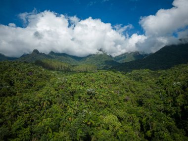Serrinha do Alambari, Rio de Janeiro, Brezilya 'daki yeşil Atlantik orman dağlarına ve bulutlara güzel hava manzarası