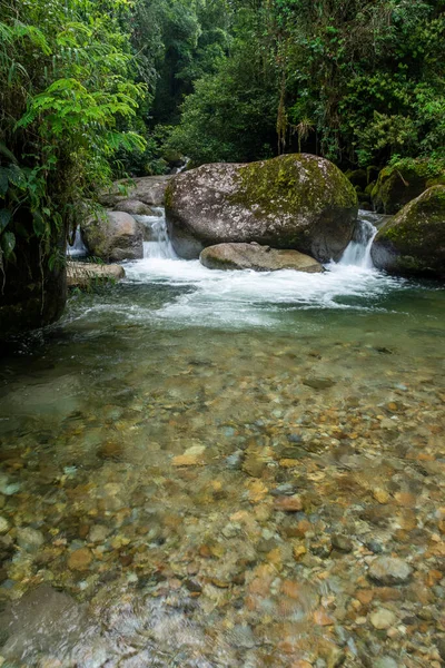 Hermosa Vista Piscina Verde Salvaje Del Río Selva Atlántica Serrinha — Foto de Stock