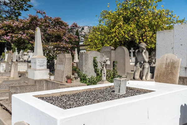 Hermosa Vista Las Lápidas Del Cementerio Tradicional Valparaso Chile —  Fotos de Stock