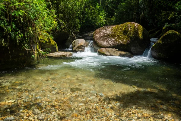 Vahşi Yeşil Atlantik Yağmur Ormanlarının Nehir Havuzu Serrinha Alambari Rio — Stok fotoğraf