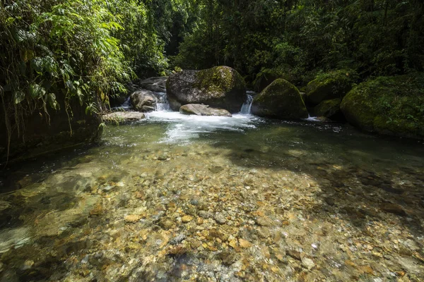 巴西里约热内卢Serrinha Alambari野生绿色大西洋热带雨林游泳池美景 — 图库照片