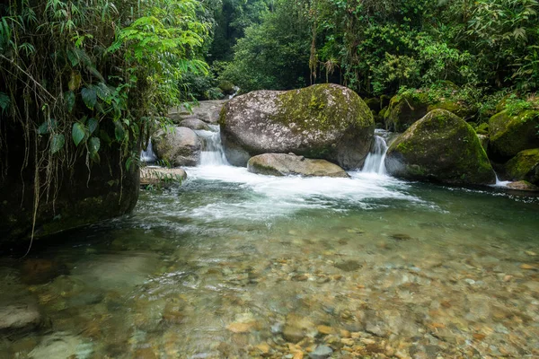 巴西里约热内卢Serrinha Alambari野生绿色大西洋热带雨林游泳池美景 — 图库照片