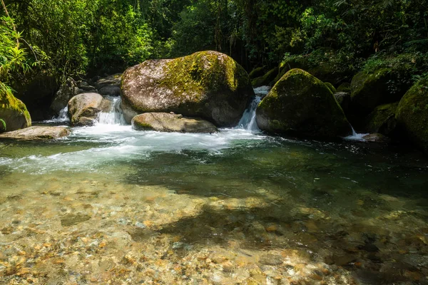 Hermosa Vista Piscina Verde Salvaje Del Río Selva Atlántica Serrinha — Foto de Stock