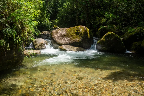 Gyönyörű Kilátás Vad Zöld Atlanti Esőerdő Folyó Medence Serrinha Alambari — Stock Fotó