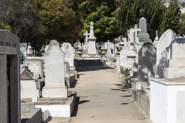 Hermosa Vista Las Lápidas Del Cementerio Tradicional Valparaso Chile —  Fotos de Stock