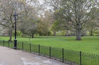 Yeşil Saint James Park 'taki ağaçlara güzel bir manzara, Londra' nın merkezi, İngiltere, İngiltere