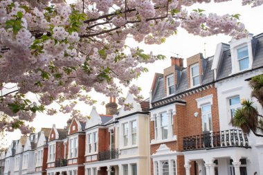 Londra 'nın merkezinde, İngiltere' de pembe çiçeklere ve geleneksel evlere güzel bir manzara.