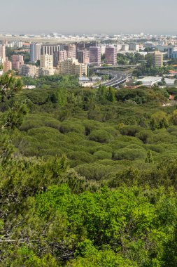 Monsanto Park 'taki yeşil alana ve Lizbon, Portekiz' deki şehir binalarına güzel manzara