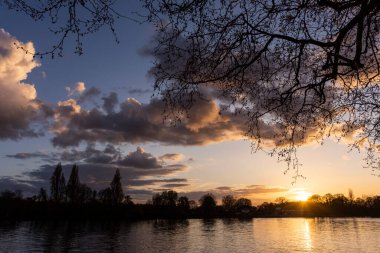 Gün batımında Thames Nehri 'ne güzel bir manzara Londra, İngiltere' nin merkezindeki Bishop 's Park' tan görülüyor.