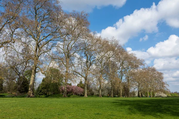 英国伦敦市中心肯辛顿花园绿树成荫的美丽景色 — 图库照片