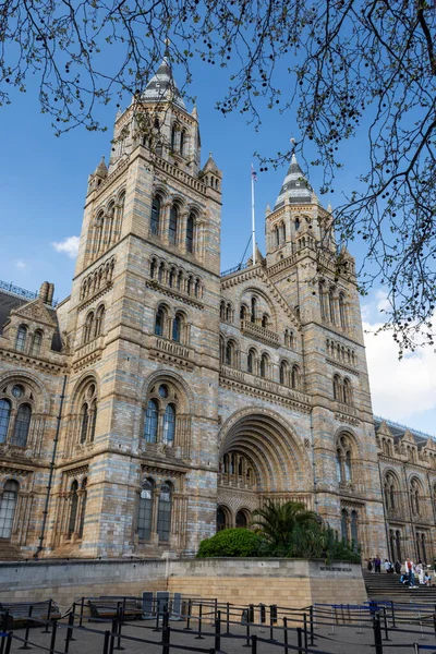 Вид Старое Историческое Здание Музея Естественной Истории Центре Лондона Англия — стоковое фото