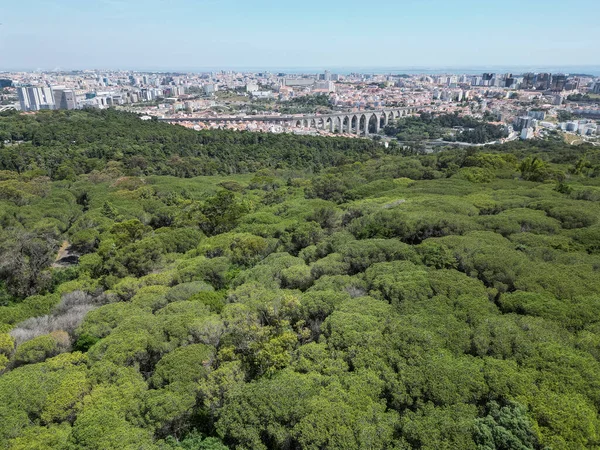 Beautiful Aerial View Green Park Old Historic Aqueduct Central Lisbon — Stock Photo, Image