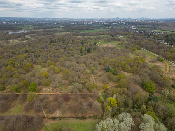 Hermosa Vista Aérea Zona Verde Con Árboles Richmond Park Londres —  Fotos de Stock
