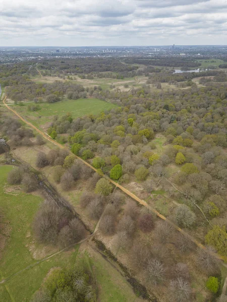 Beautiful Aerial View Green Area Trees Richmond Park London — Stock Photo, Image