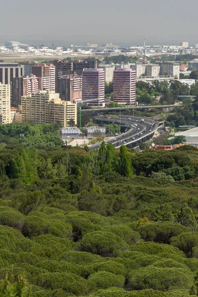 Monsanto Park Taki Yeşil Alana Lizbon Portekiz Deki Şehir Binalarına — Stok fotoğraf