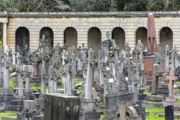 緑のブロンプトン墓地の墓石への美しい景色 ロンドン中心部 イギリス イギリス — ストック写真