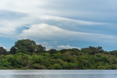 Beautiful view to green rainforest river and clouds in the Brazilian Amazon, Amazonas, Brazil
