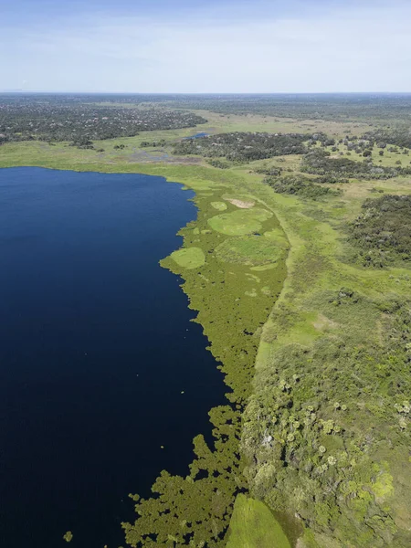 Beautiful Aerial View Lake Green Fields Brazilian Miranda Pantanal Mato —  Fotos de Stock