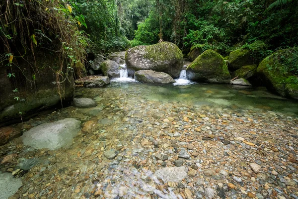 Hermosa Vista Selva Tropical Verde Agua Cristalina Piscina Río Serrinha — Foto de Stock