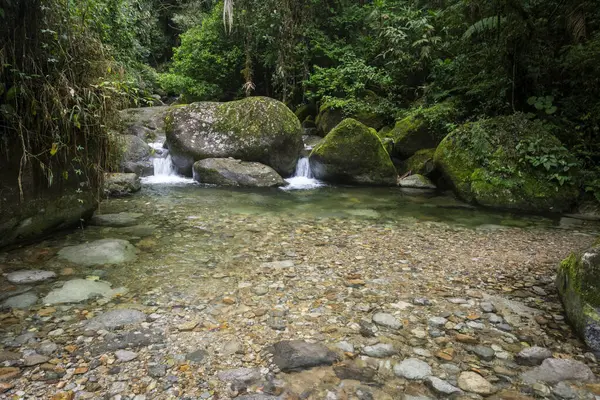 Krásný Výhled Tropický Zelený Deštný Prales Křišťálově Čistý Vodní Říční — Stock fotografie