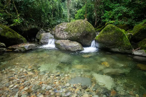 巴西里约热内卢Serrinha Alambari的热带雨林水晶般清澈的河流游泳池美景 — 图库照片