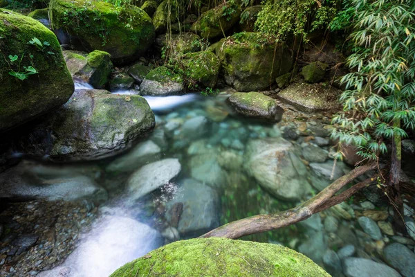 Hermosa Vista Selva Tropical Verde Agua Cristalina Piscina Río Serrinha — Foto de Stock