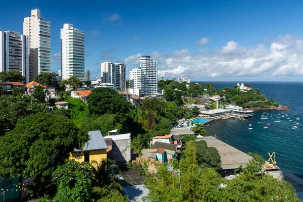 Prachtig Uitzicht Residentiële Gebouwen Oceaan Salvador Hoofdstad Van Deelstaat Bahia — Stockfoto