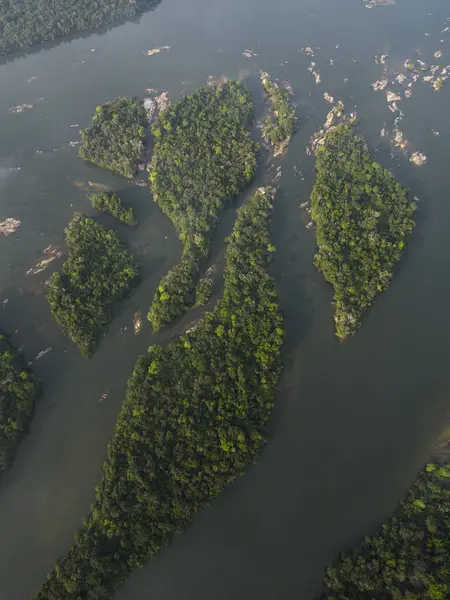 Beautiful aerial view to islands in wild green amazon rainforest in Juruena River, Mato Grosso State, Brazil