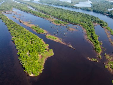 Negro River, Amazonas, Brezilya 'daki Anavilhanas adası takımadalarının yeşil Amazon yağmur ormanlarına güzel hava manzarası