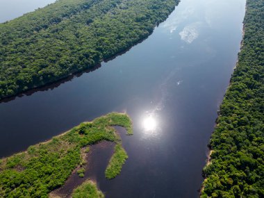 Negro River, Amazonas, Brezilya 'daki Anavilhanas adası takımadalarının yeşil Amazon yağmur ormanlarına güzel hava manzarası