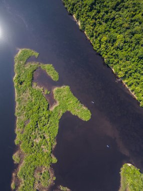 Negro River, Amazonas, Brezilya 'daki Anavilhanas adası takımadalarının yeşil Amazon yağmur ormanlarına güzel hava manzarası