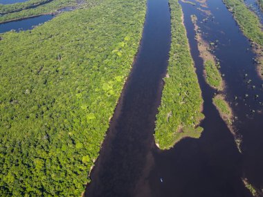 Negro River, Amazonas, Brezilya 'daki Anavilhanas adası takımadalarının yeşil Amazon yağmur ormanlarına güzel hava manzarası