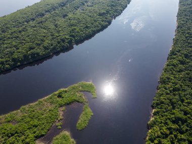 Negro River, Amazonas, Brezilya 'daki Anavilhanas adası takımadalarının yeşil Amazon yağmur ormanlarına güzel hava manzarası