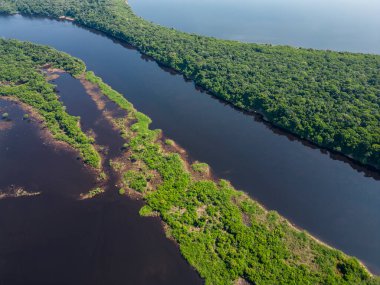 Negro River, Amazonas, Brezilya 'daki Anavilhanas adası takımadalarının yeşil Amazon yağmur ormanlarına güzel hava manzarası