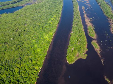 Negro River, Amazonas, Brezilya 'daki Anavilhanas adası takımadalarının yeşil Amazon yağmur ormanlarına güzel hava manzarası