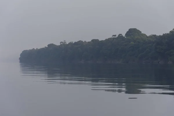 美丽的绿色亚马逊热带雨林风景与巴西亚马孙黑河安纳维哈纳斯群岛的水景 — 图库照片