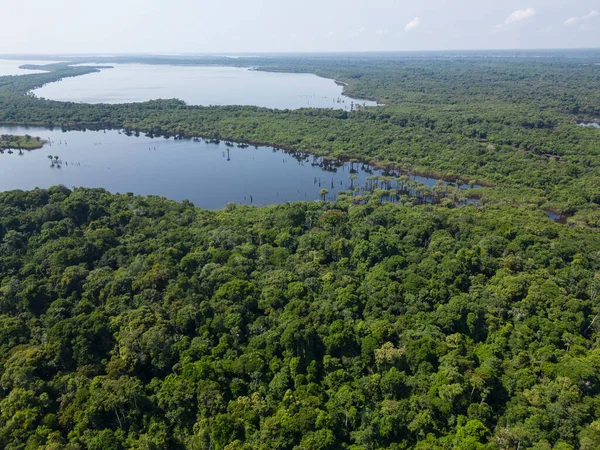 Piękny Widok Lotu Ptaka Zieloną Amazonkę Archipelag Anavilhanas Wyspie Negro — Zdjęcie stockowe