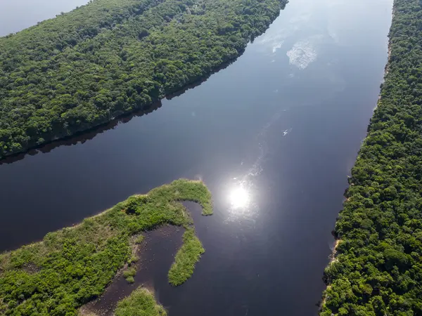 巴西亚马逊河畔安那维哈纳斯岛绿色热带雨林美丽的空中景观 — 图库照片