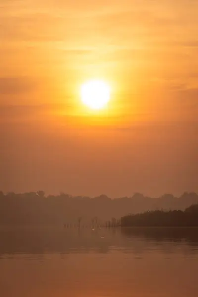 Anavilhanas Takımadaları Negro Nehri Amazonlar Brezilya Güneşin Doğuşuna Güzel Bir — Stok fotoğraf