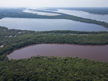 Negro River ve Anavilhanas Takımadaları, Amazon Eyaleti, Brezilya