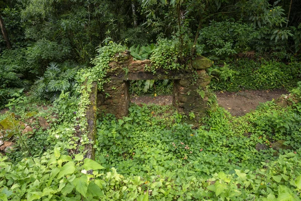 Utsikt Över Gamla Historiska Ruiner Från Kaffeperioden Grönt Regnskogsområde Tijuca — Stockfoto