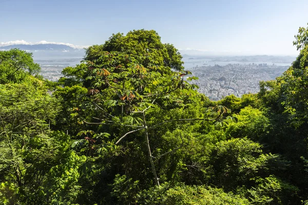 Tijuca Park Rio Janeiro Brezilya Daki Yeşil Yağmur Ormanlarından Şehir — Stok fotoğraf
