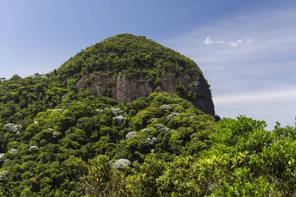 Hermosa Vista Montaña Verde Selva Rocosa Parque Tijuca Río Janeiro — Foto de Stock