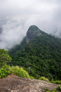 Tijuca Ormanı, Rio de Janeiro, Brezilya 'daki yeşil kayalık yağmur ormanlarının güzel manzarası